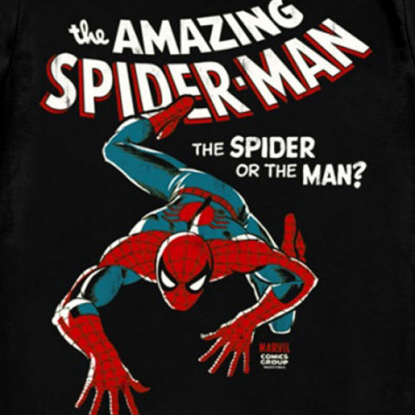Amazing Spider Man
