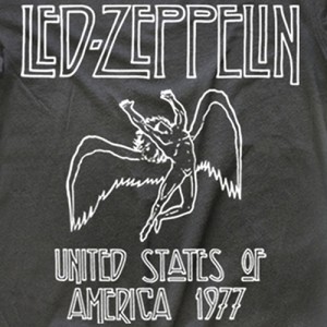 Amplifield Vintage Led Zeppelin
